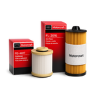 Motorcraft FD-4617 and FL-2016 Combo Pack of 2 | OEM Oil & Fuel Filter.